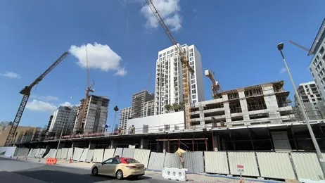 Plywood in Dubai Building Projects