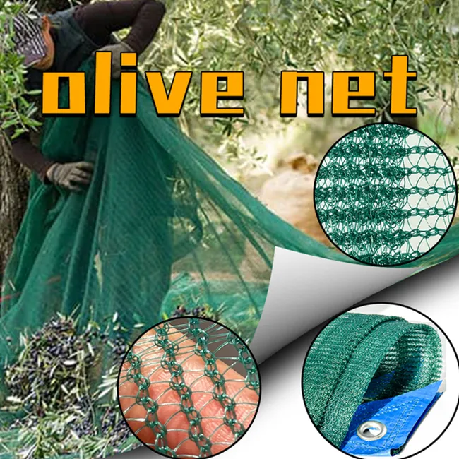 Olive Net