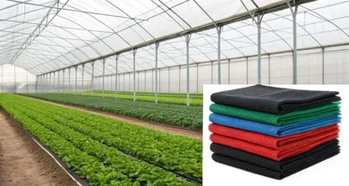 Which Color Shade Net is Best for Your Needs Which Color Shade Net is Best for Your Needs