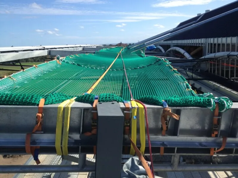 Platform-Netting-1.jpg Platform-Netting-1.jpg
