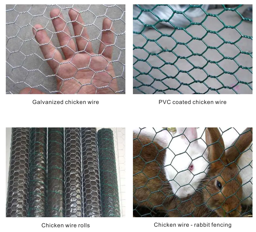 Chicken wire for feeding chicken and other animals