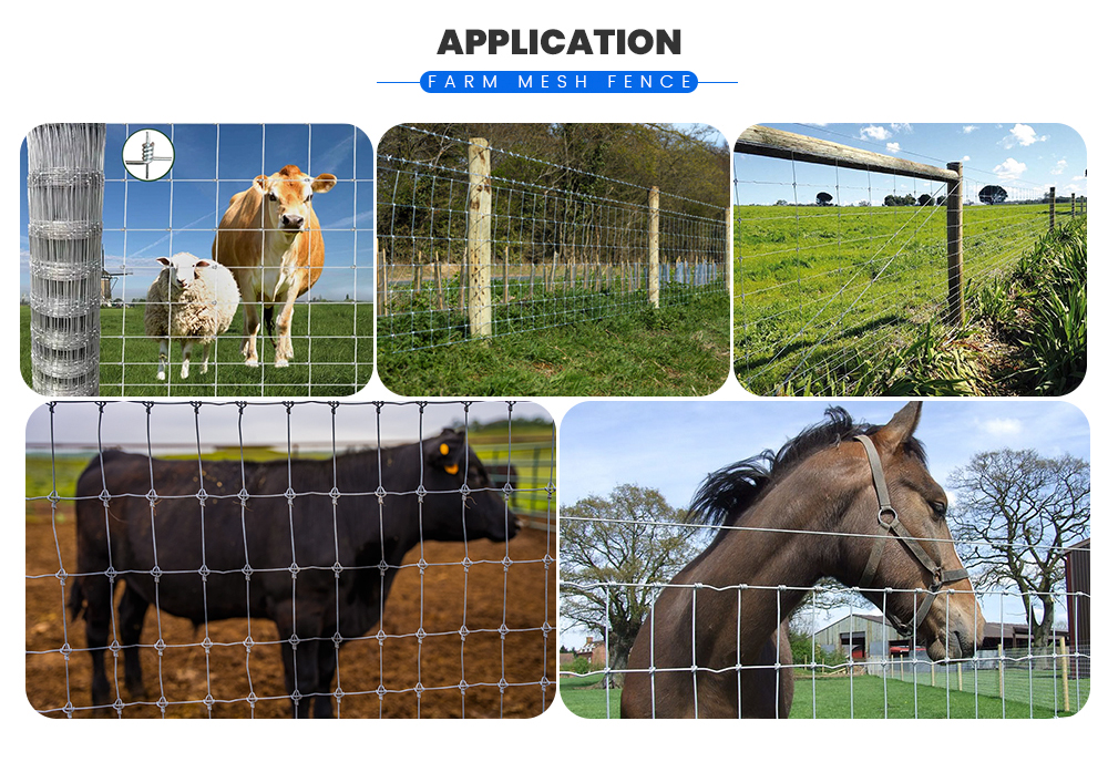 Farm-Mesh-Fence_03.jpg Farm-Mesh-Fence_03.jpg