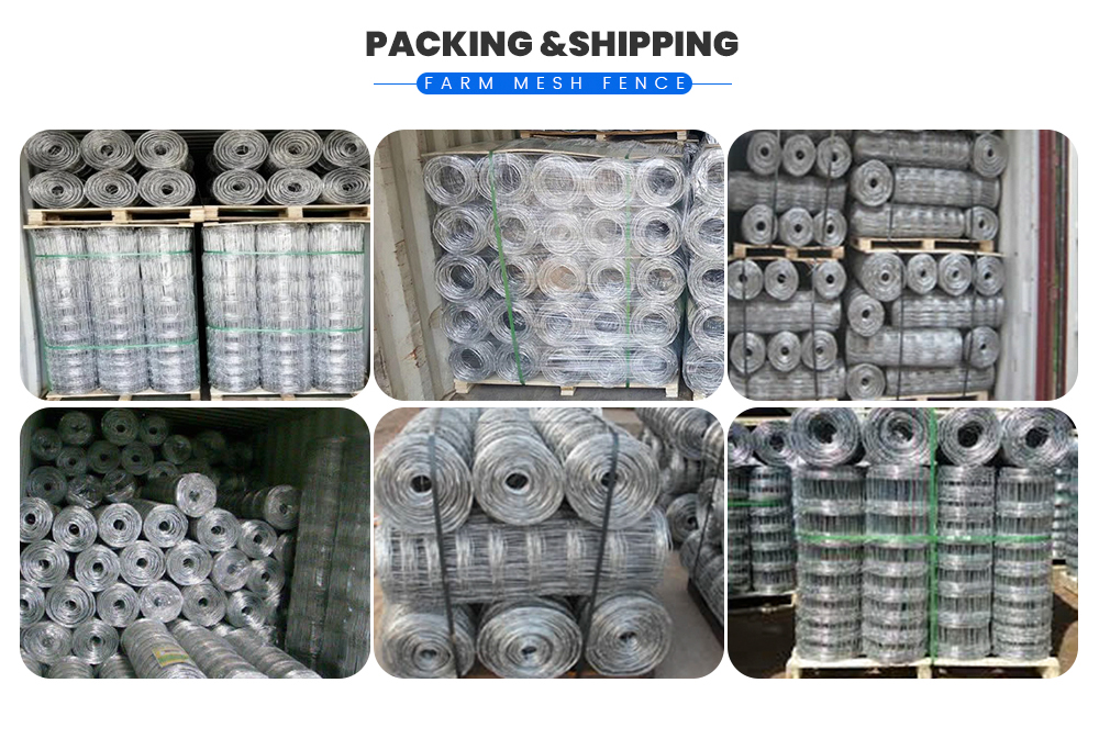 Farm-Mesh-Fence_04.jpg Farm-Mesh-Fence_04.jpg