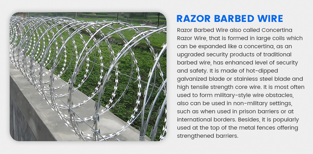 Razor-Barbed-Wire_01.jpg Razor-Barbed-Wire_01.jpg